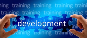 learning and development